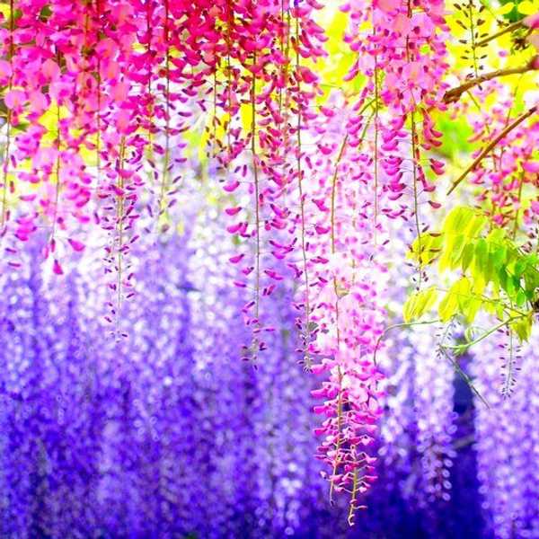 A Letter To Guys: About Periods