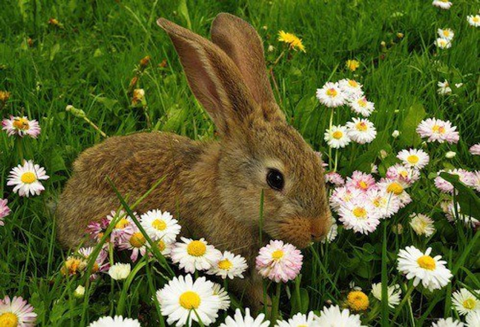 Why Spring Semester Is The Best Worst Semester