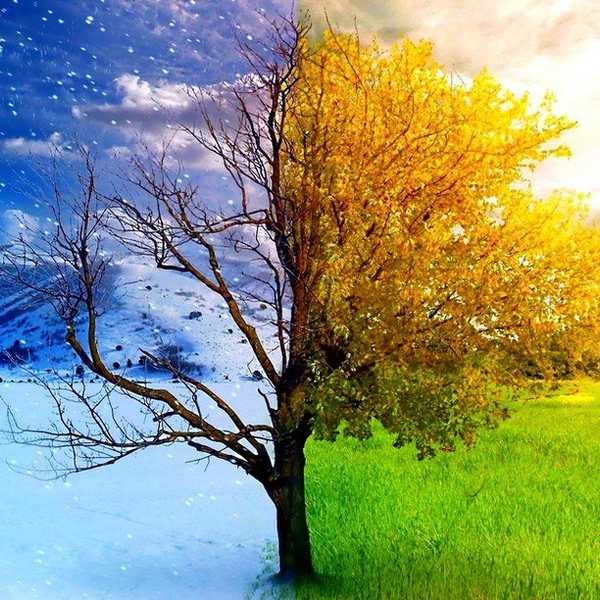 Maybe We Should Embrace Change Instead Of Fearing It