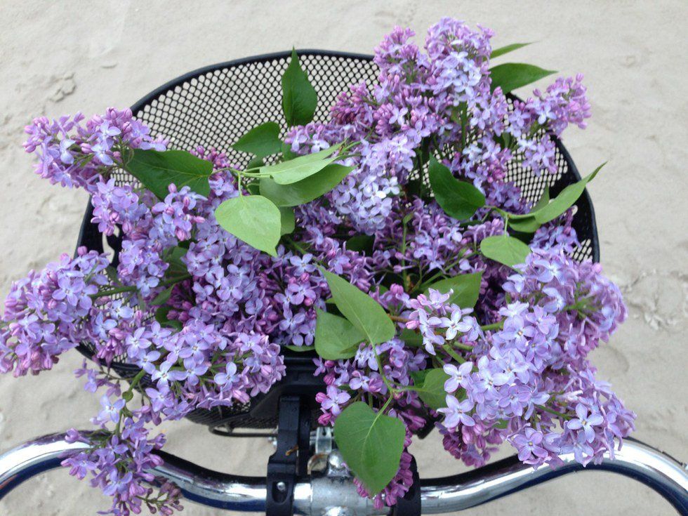 22 Things To Remember On A Daily Basis