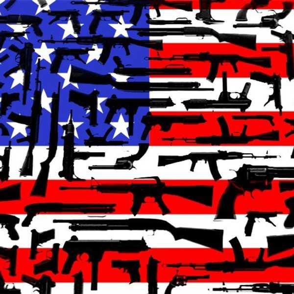 America And Her Guns
