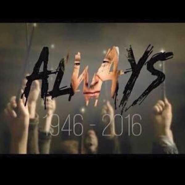 Harry Potter Fans Mourning Alan Rickman