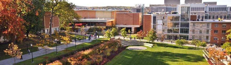 What I Learned From Transferring