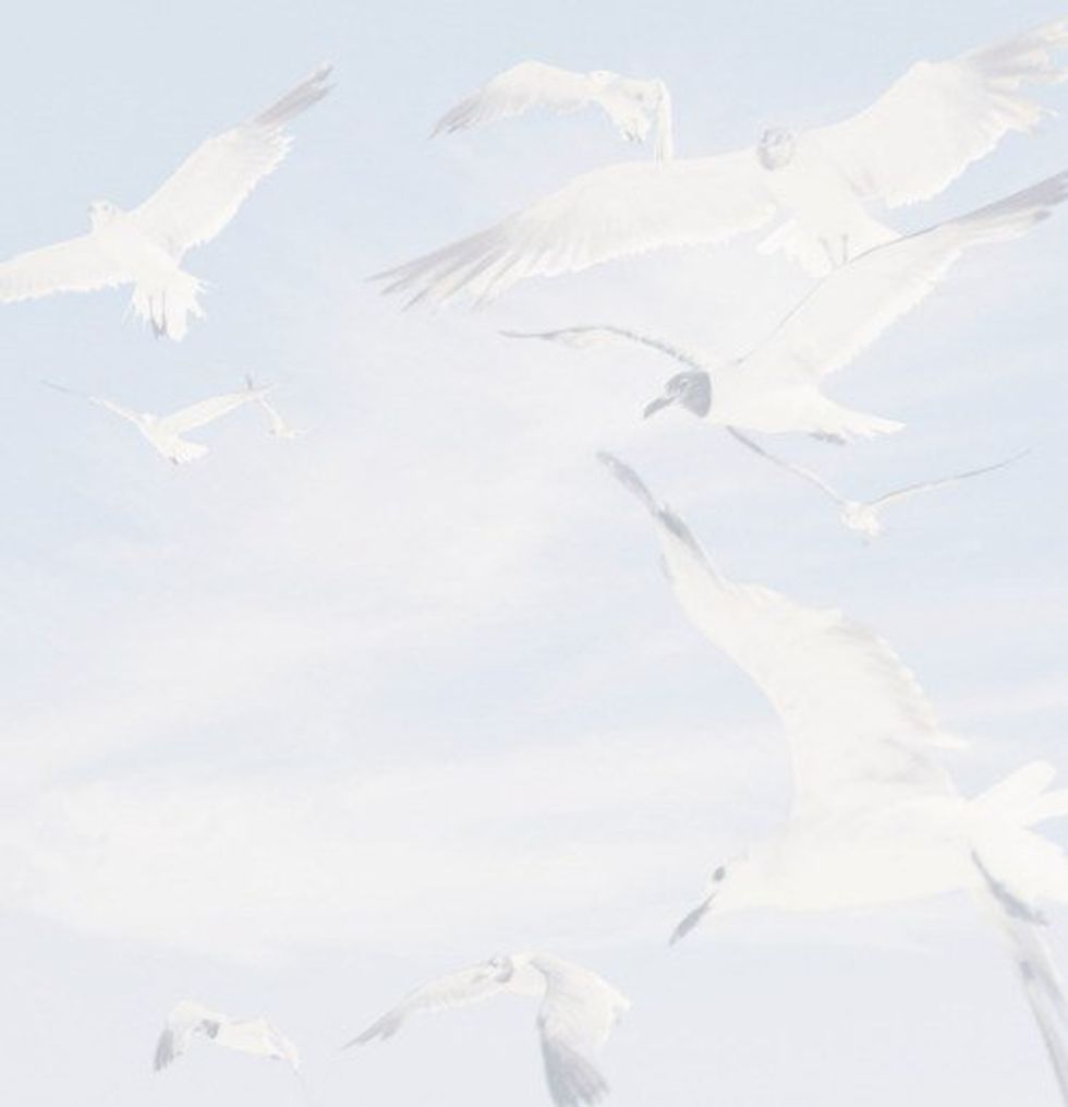 You Are Not Damaged Goods