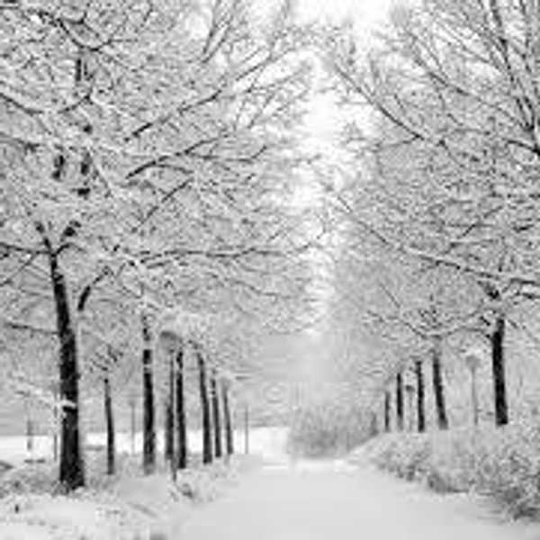 Open Letter To Winter Break