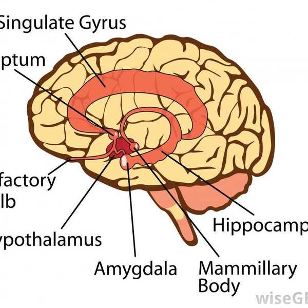 Anxiety: The Silent Epidemic