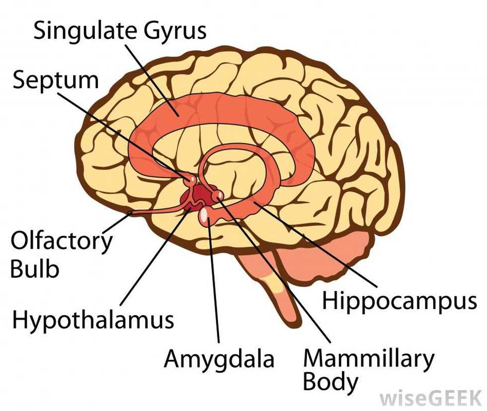 Anxiety: The Silent Epidemic