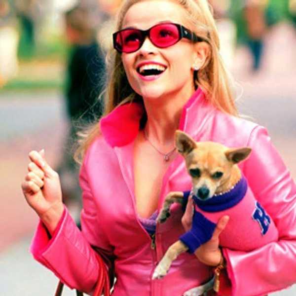 5 Life Lessons That Every College Girl From Elle Woods