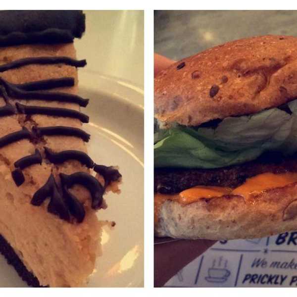 Why I Went Vegan