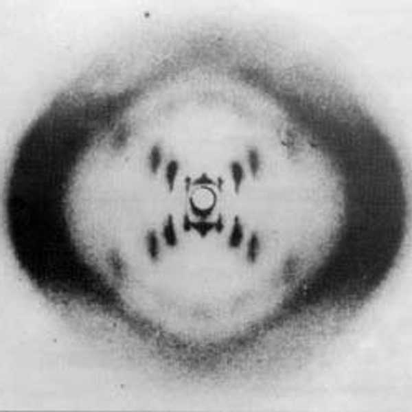 5 Not-So-Famous Women And Their Contributions To STEM