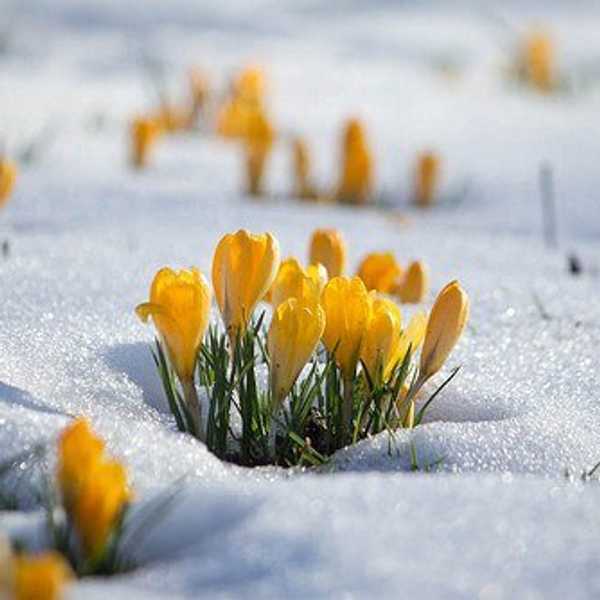5 Things to Look Forward to for Spring Semester