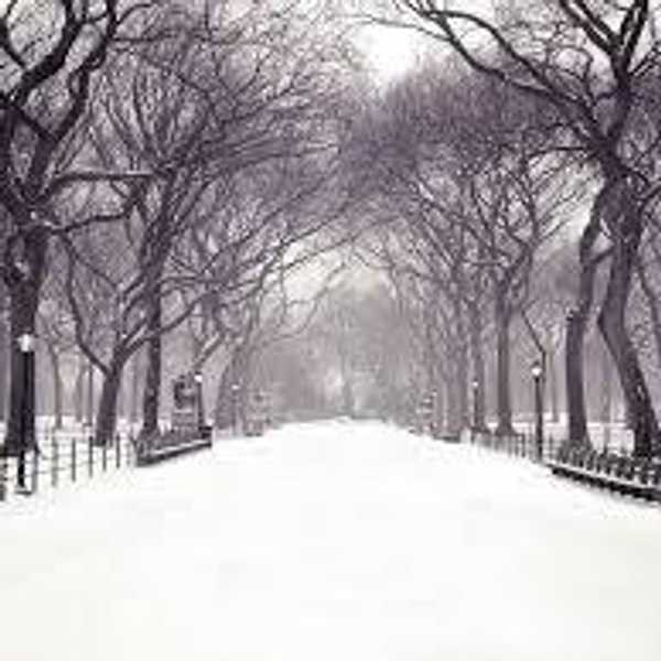7 Ways To Find Beauty In The Dark Of Winter