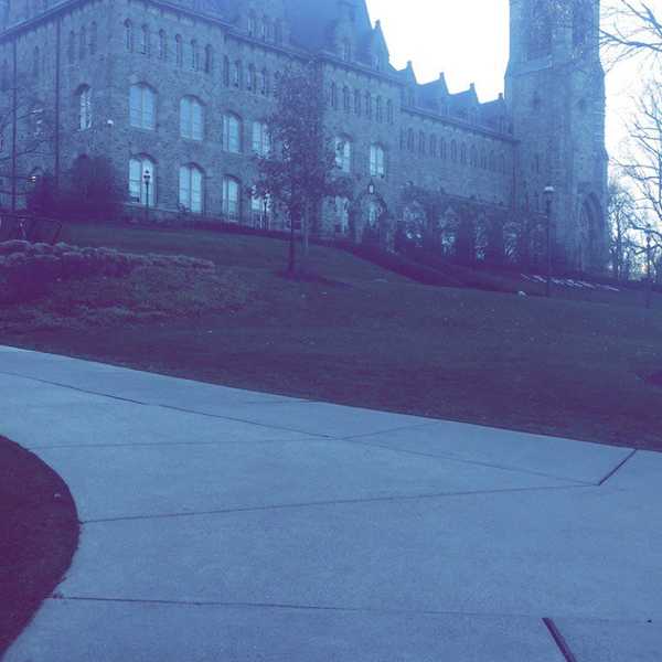 Spring Semester Is Blooming