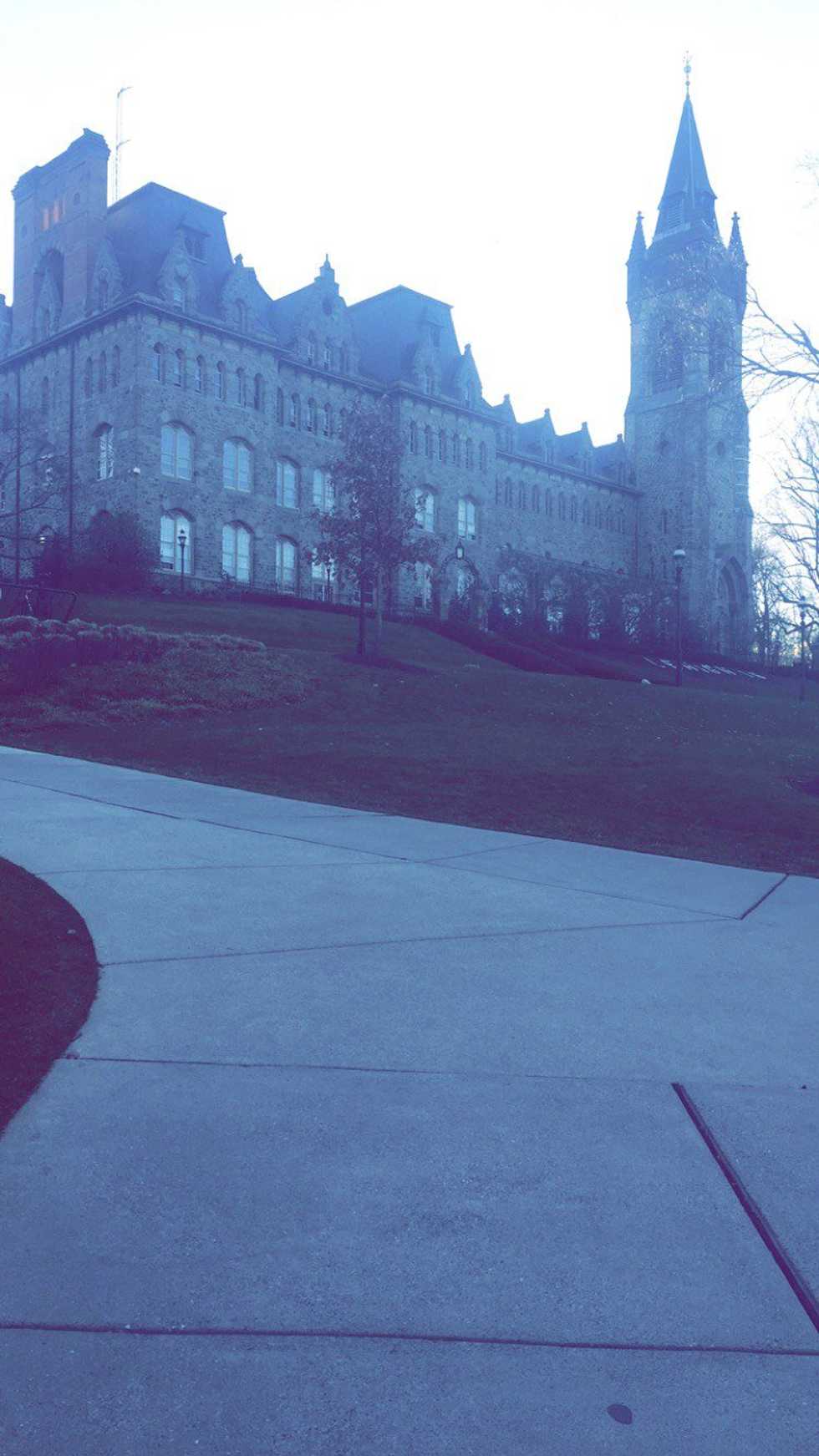 Spring Semester Is Blooming