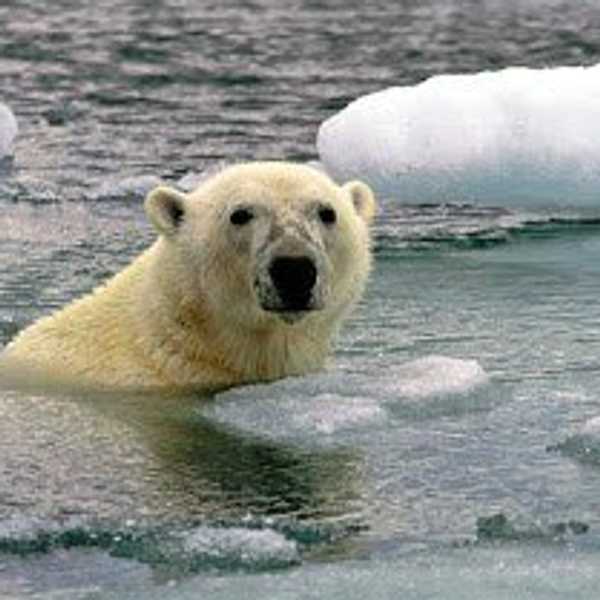 Getting Heated Over Global Warming