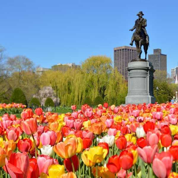 16 Things You Learn Growing Up In Massachusetts