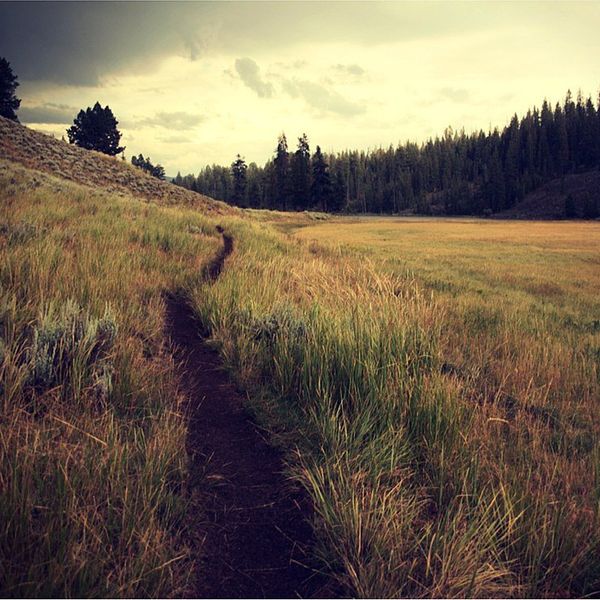 A New Type Of Resolution