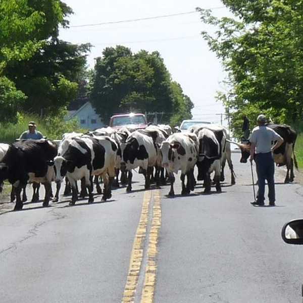 8 Things You Only See In A Small Town