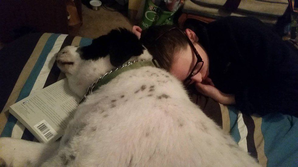 13 Ways My Dog Helped Me Through A Break-Up