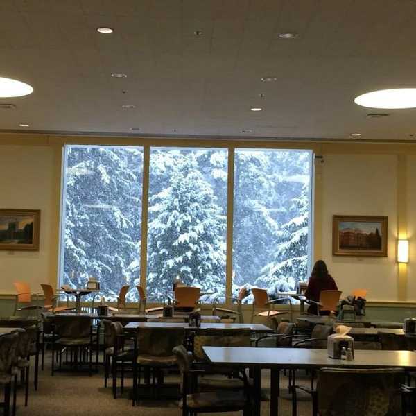 Winter At Vassar: A Snowy Wonderland... Or A Freezer With Trees