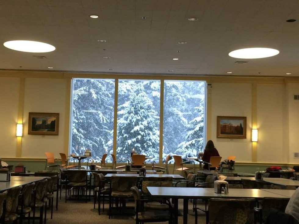 Winter At Vassar: A Snowy Wonderland... Or A Freezer With Trees