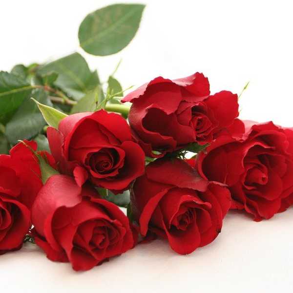 Why Even Sensible Women Are Addicted To "The Bachelor"