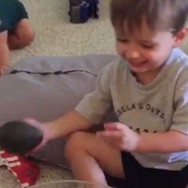 It's An Avocado...Thanks!