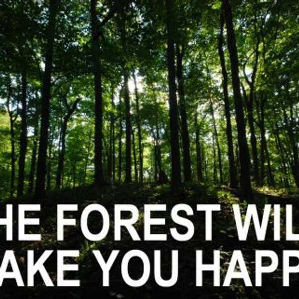 9 Reasons To Go Outside