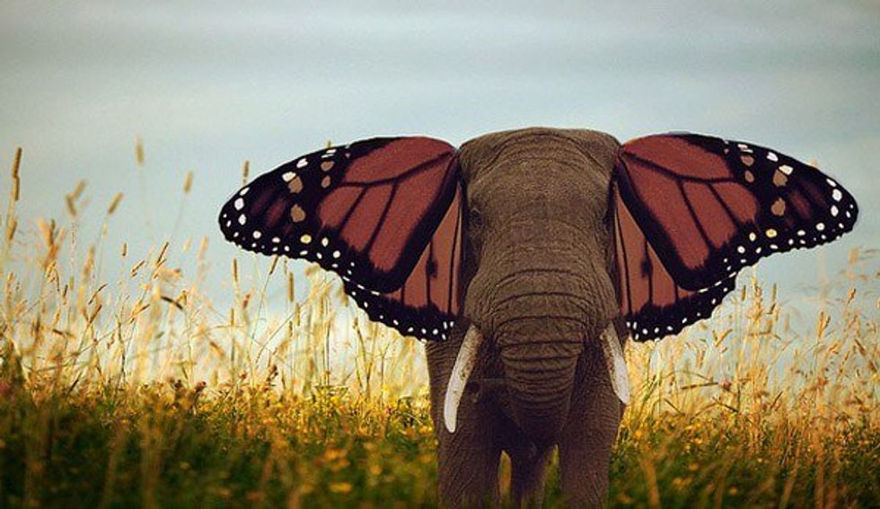 Hello Inspiration, Do You Read Me?