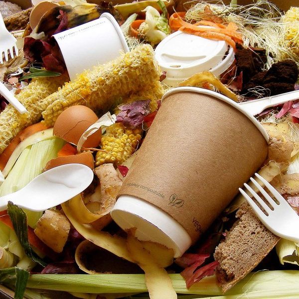 Don't Just Eat Less This New Year, Waste Less, Too