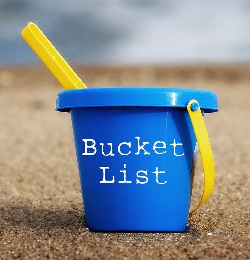 The Average Human's Bucket List