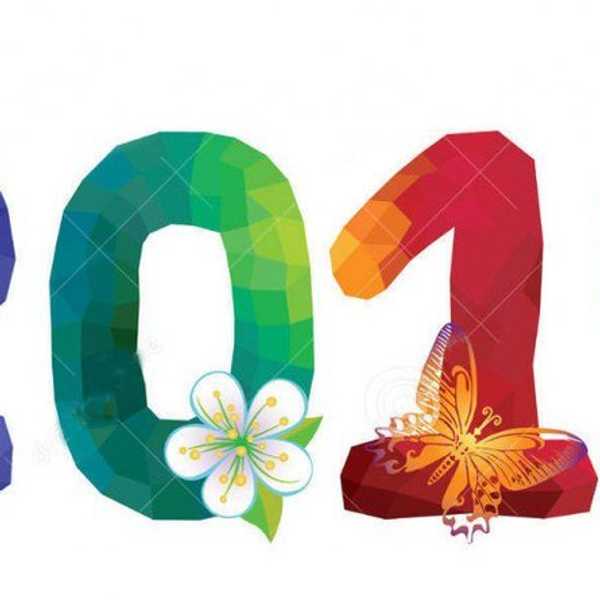 A Positive Light On The Past Year Through Pictures