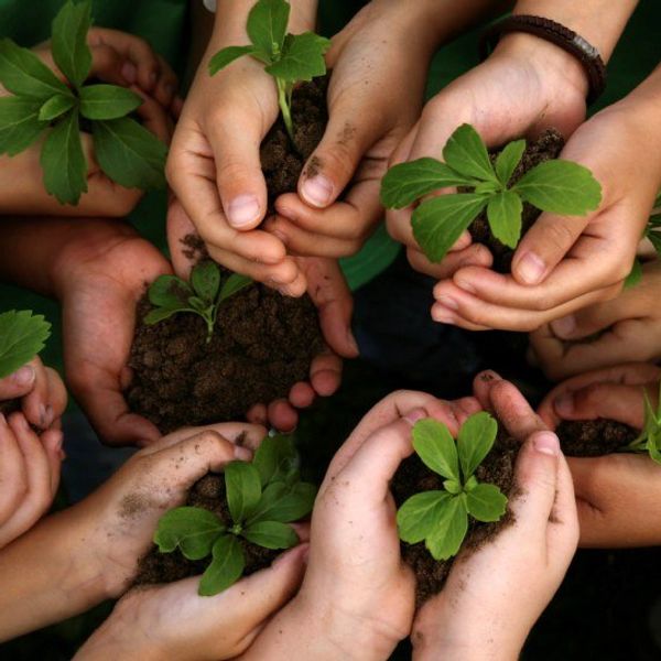 How People Are Like Plants