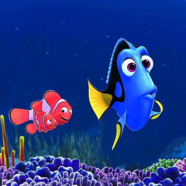Freshman Year Of College As Told By Dory