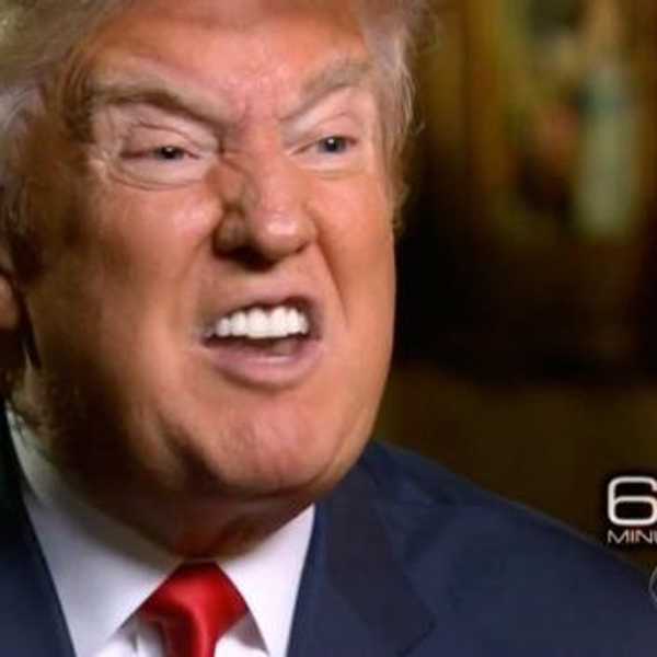 Why Donald Trump Helps Me Sleep at Night