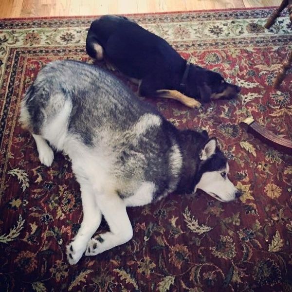 9 Reasons Napping Gives Me Life