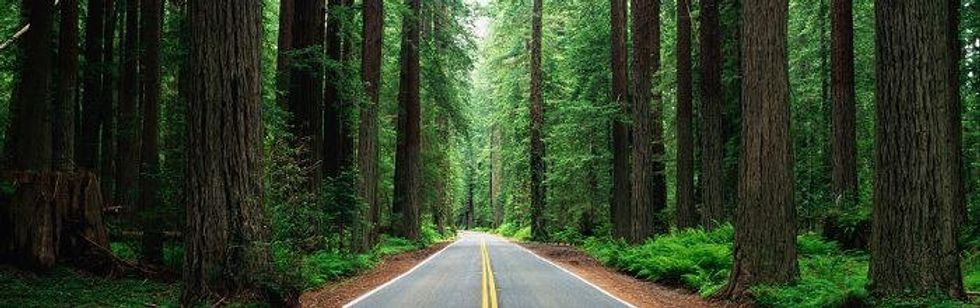 The Commuters Guide To Driving Highway 17