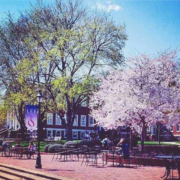 15 Things To Look Forward To At Lee This Spring