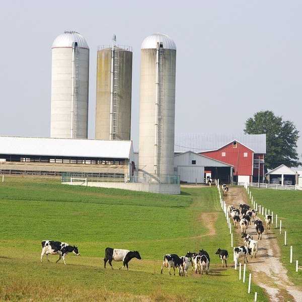 10 Signs You Grew Up In A Farming Family