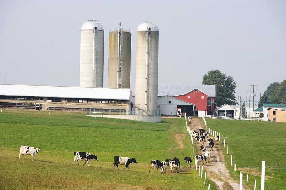 10 Signs You Grew Up In A Farming Family