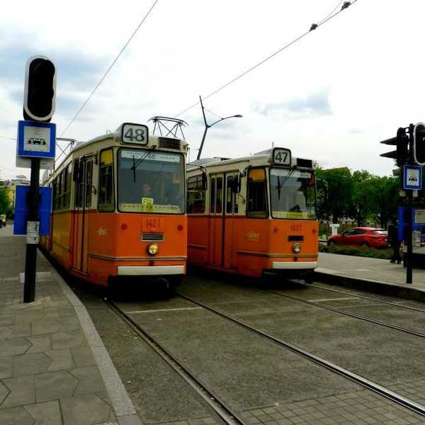 5 Of The Most Bizarre Things To Happen To Me While Traveling