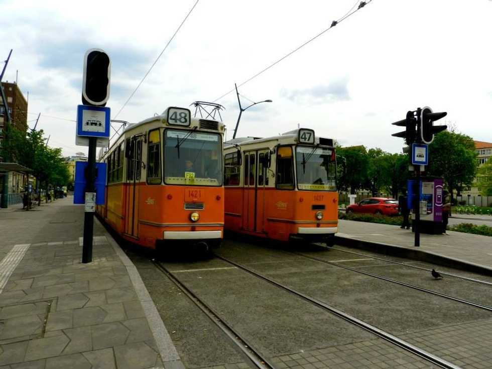 5 Of The Most Bizarre Things To Happen To Me While Traveling