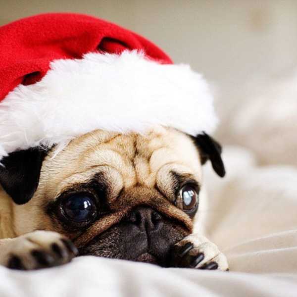 How To Crush Your Post-Holiday Blues