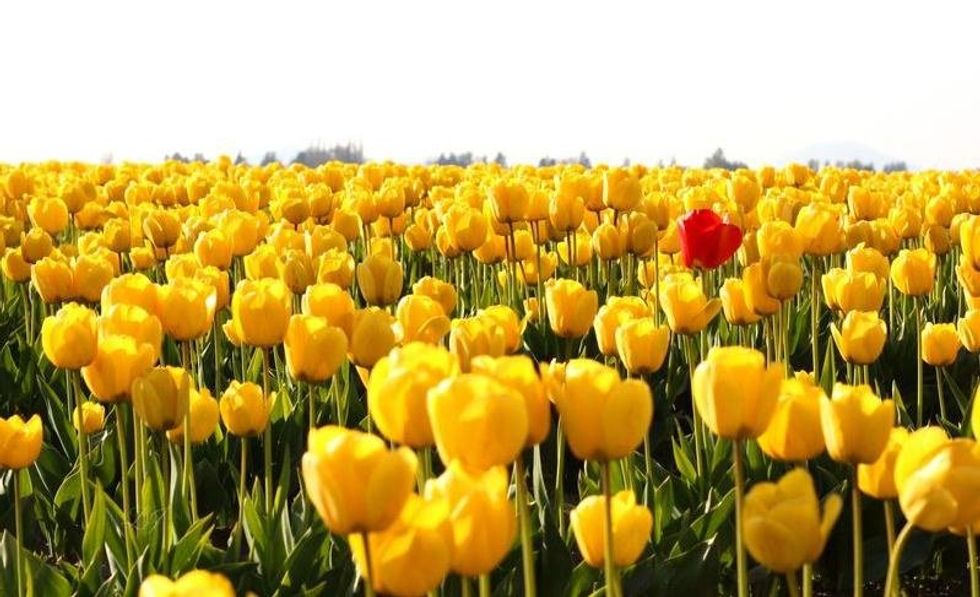 What I've Learned About Popularity From Being Unpopular