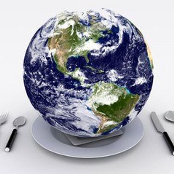 The Complications and Considerations Behind Our Food Choices