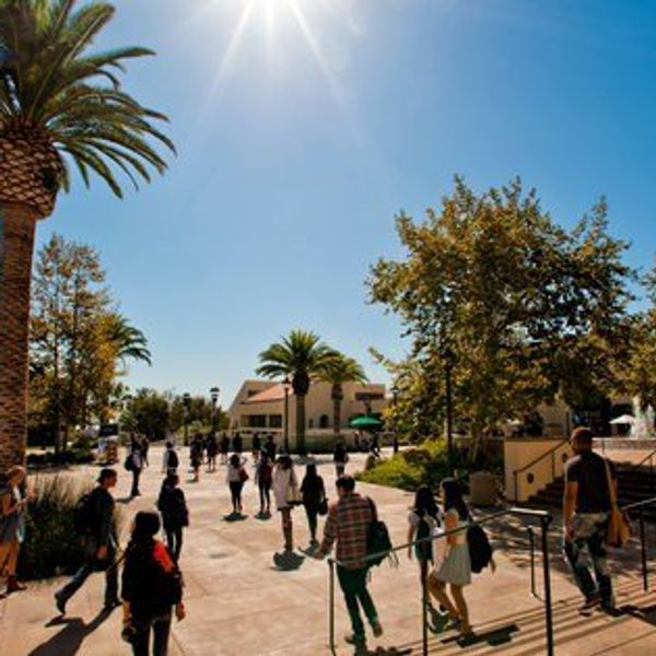 Dear College (An Open Letter)