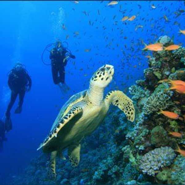 11 Reasons I'm Majoring in Biology