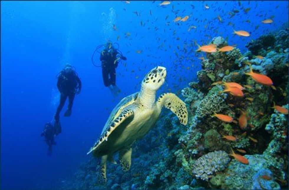 11 Reasons I'm Majoring in Biology