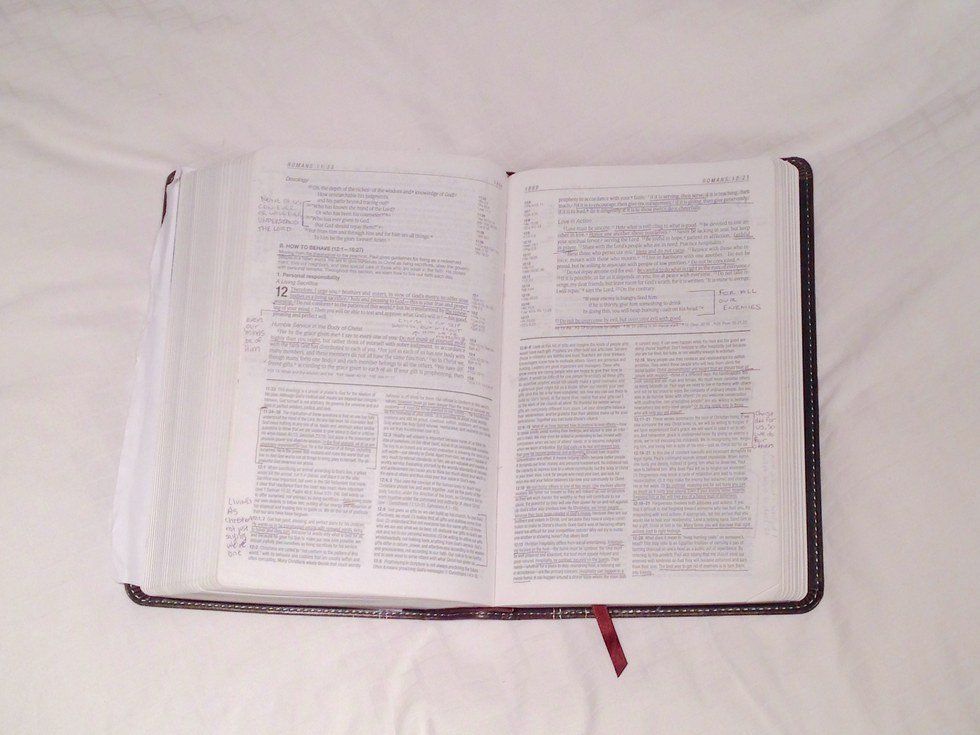 Why We Love Our Enemies