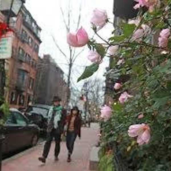 Thoughts Every Bostonian Has Had During This Abnormally Warm Winter